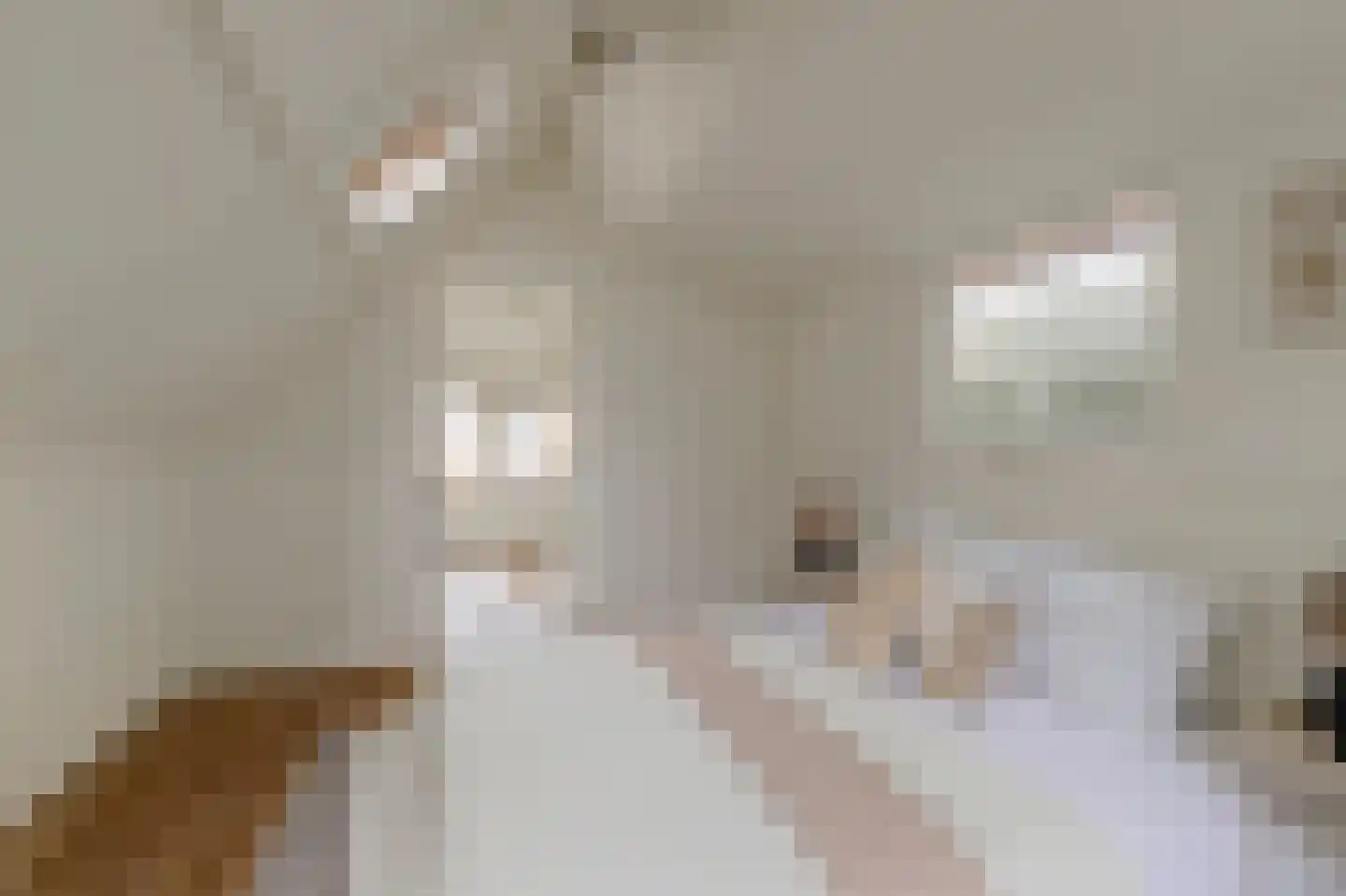 Karnemelksloot 96 Gouda thumbnail 20