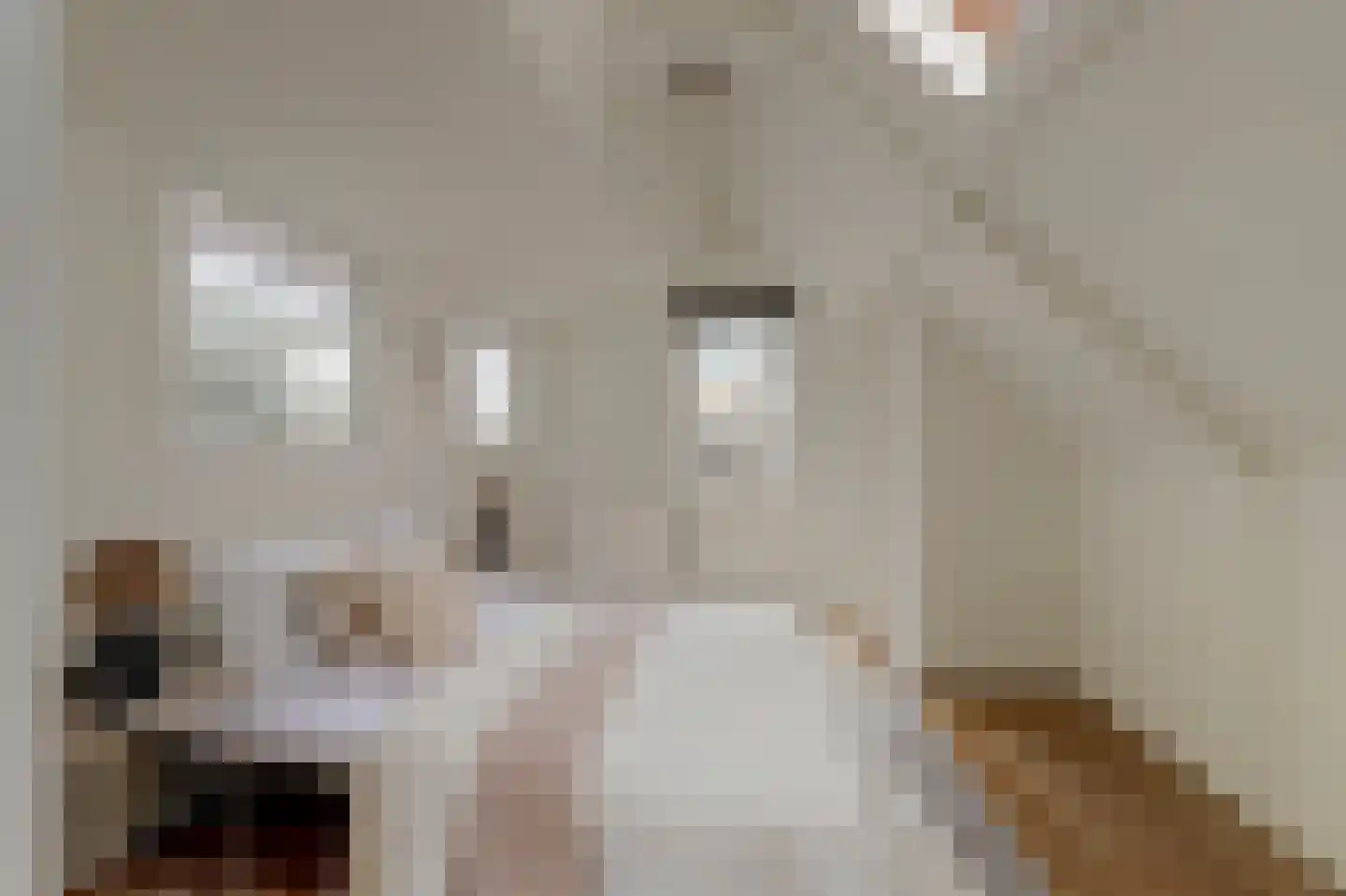 Karnemelksloot 96 Gouda thumbnail 7