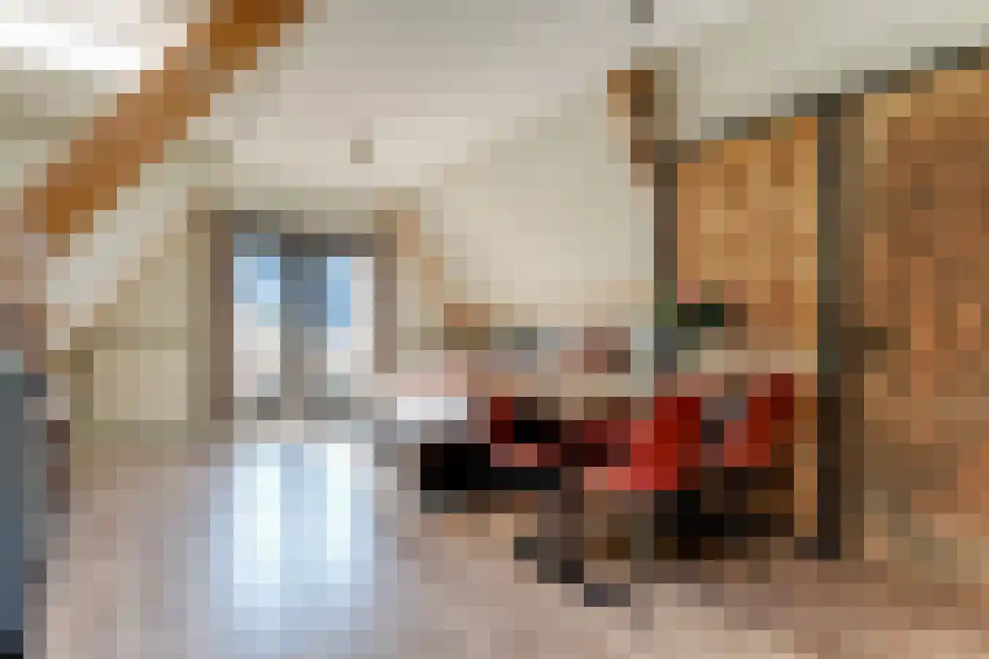Karnemelksluis 4 Enkhuizen thumbnail 13