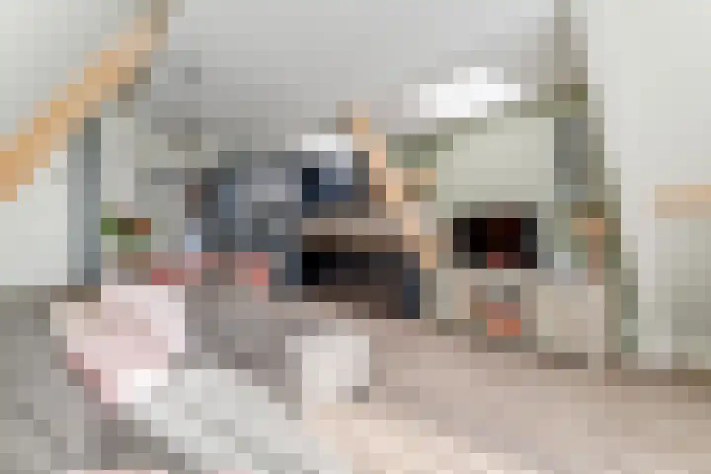 Karnemelksluis 4 Enkhuizen thumbnail 19