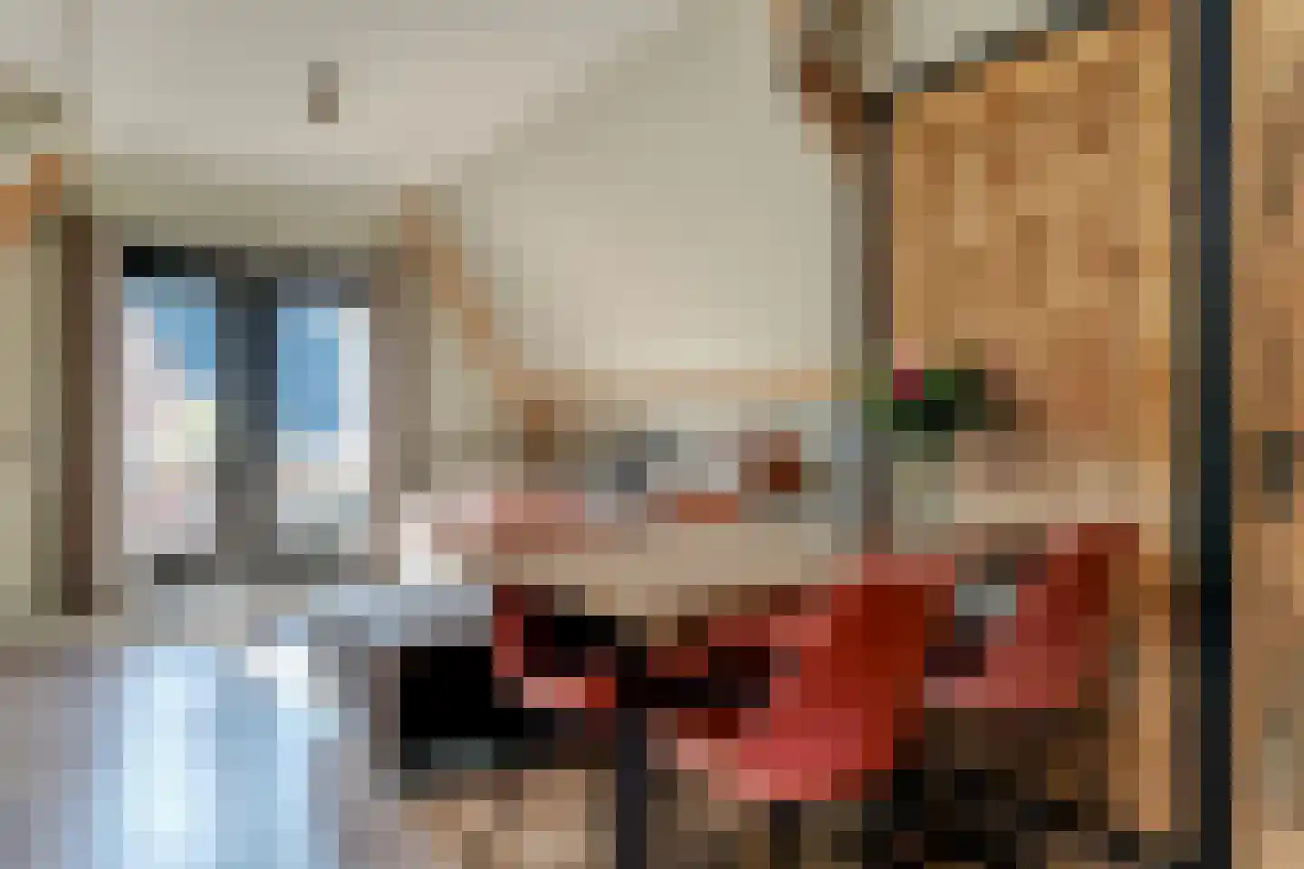 Karnemelksluis 4 Enkhuizen thumbnail 22