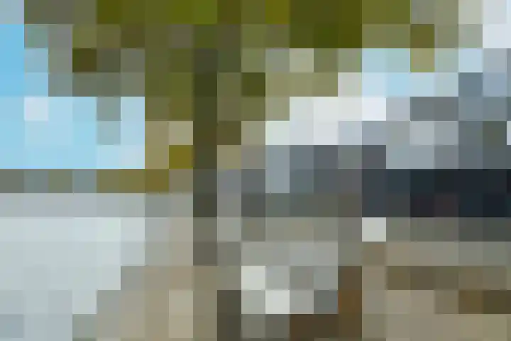 Karnemelkspad 1 C Wormerveer thumbnail 14
