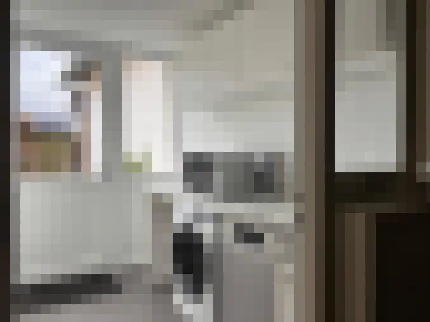 Karnemelkstraat 5 IJzendijke thumbnail 14