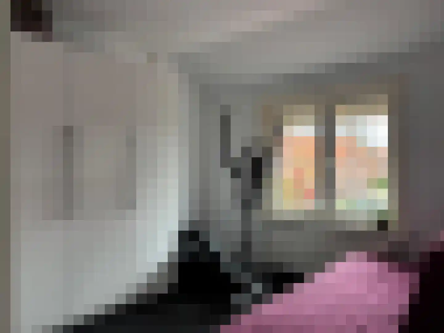 Karnemelkstraat 5 IJzendijke thumbnail 20