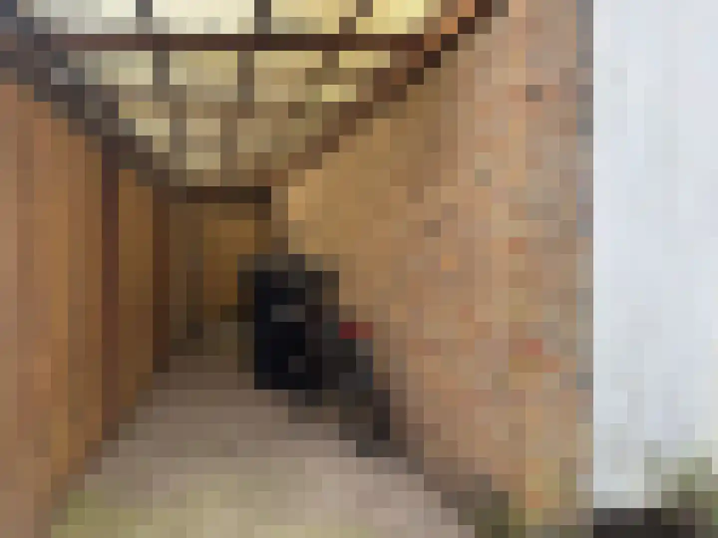 Karnemelkstraat 5 IJzendijke thumbnail 39
