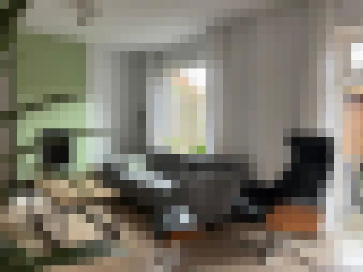 Karnemelkstraat 5 IJzendijke thumbnail 4