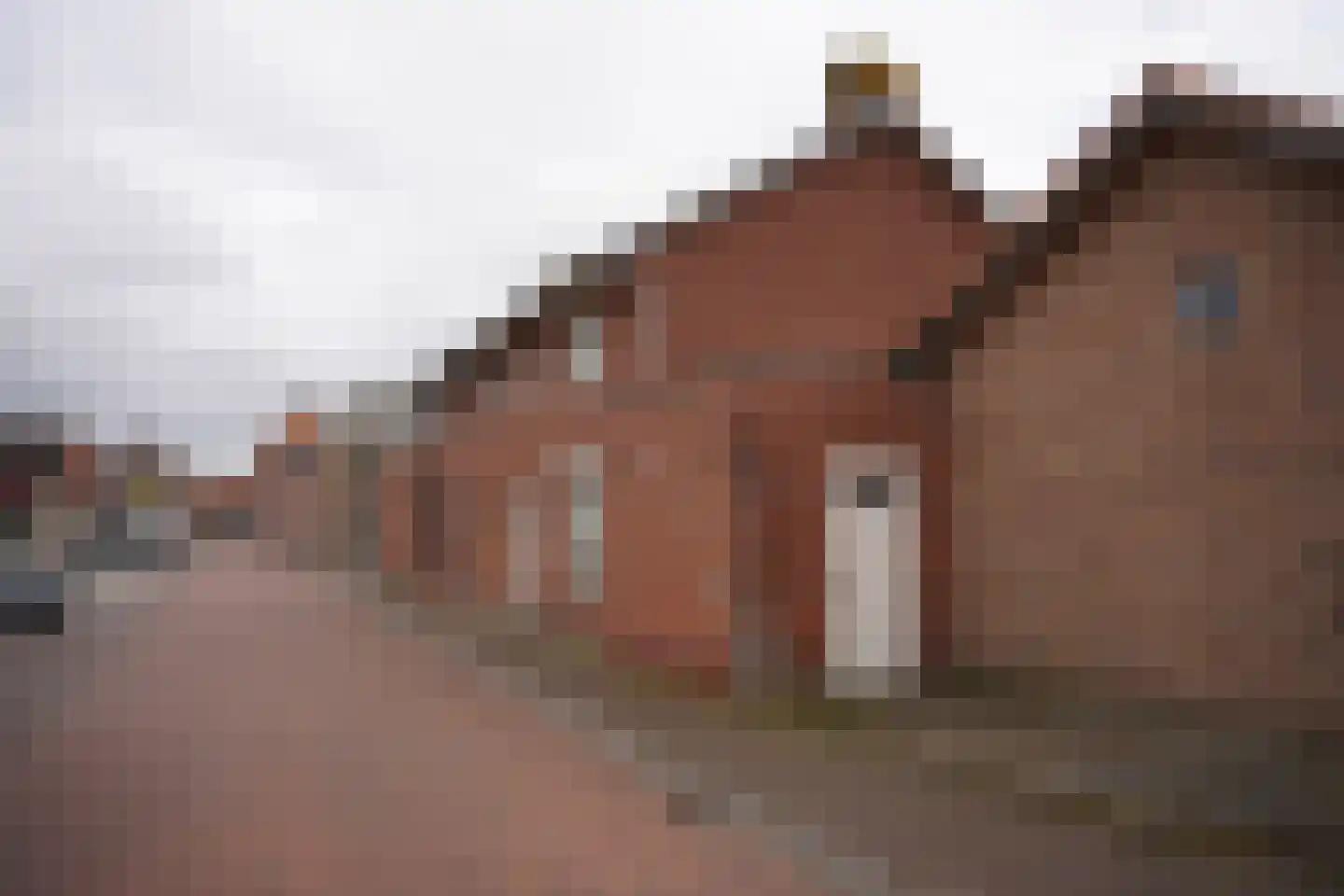 Karnemelkstraat 5 IJzendijke thumbnail 41