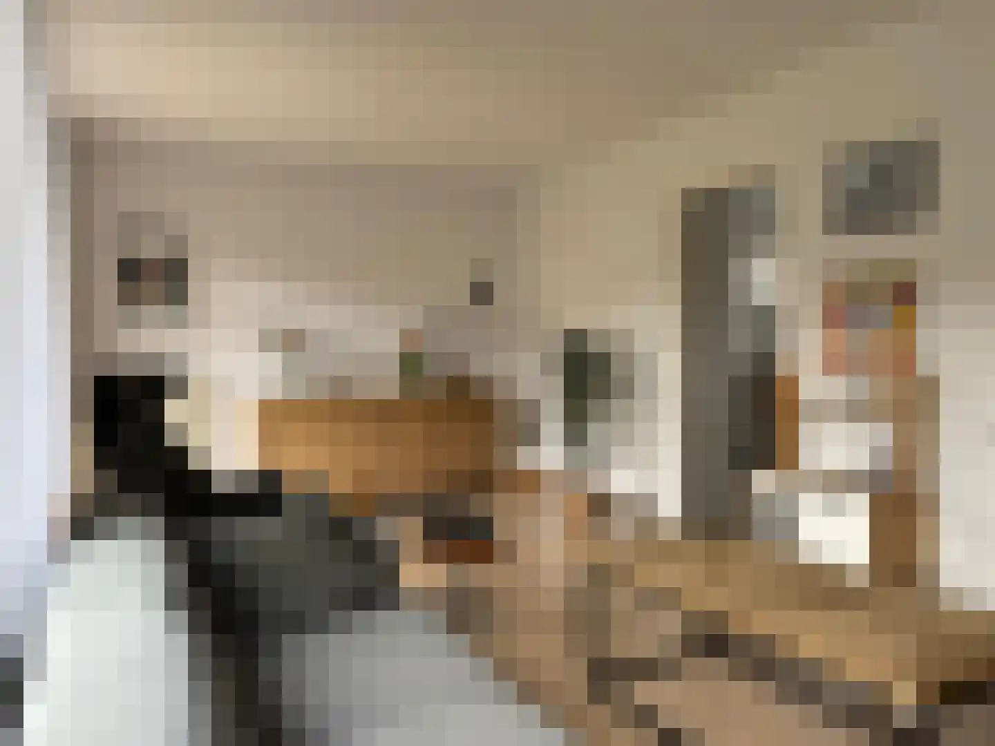 Karnemelkstraat 5 IJzendijke thumbnail 5