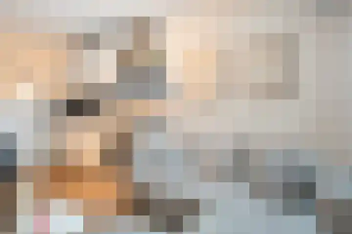 Karnemelkstraat 5 Ommen thumbnail 7