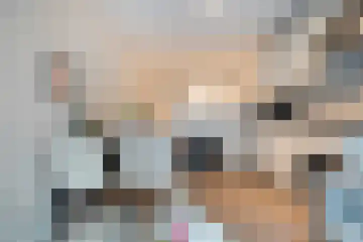 Karnemelkstraat 5 Ommen thumbnail 8