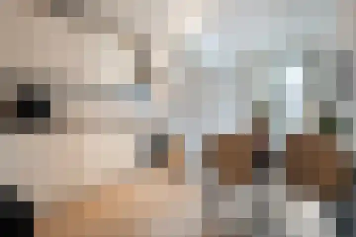 Karnemelkstraat 5 Ommen thumbnail 9