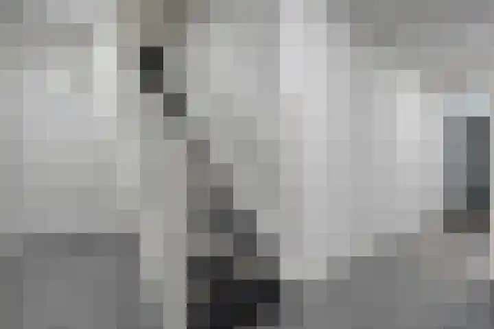 Karnemelkstraat 7 Ommen thumbnail 5