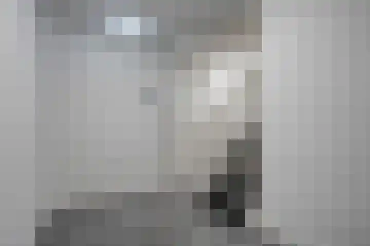 Karnemelkstraat 7 Ommen thumbnail 6