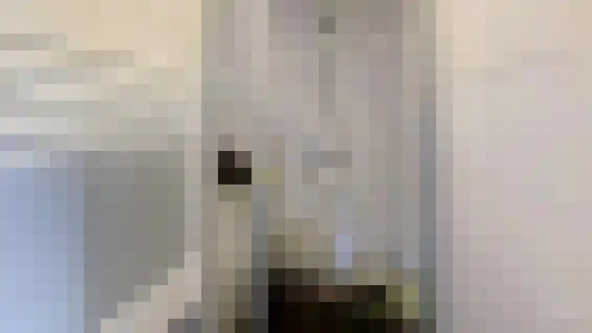 Karnemelkstraat 9 Breda thumbnail 6