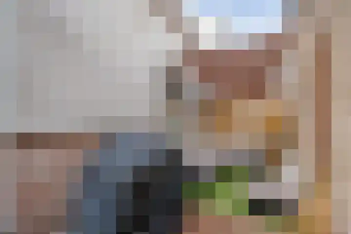 Karnemelkstraat 9 Ommen thumbnail 31