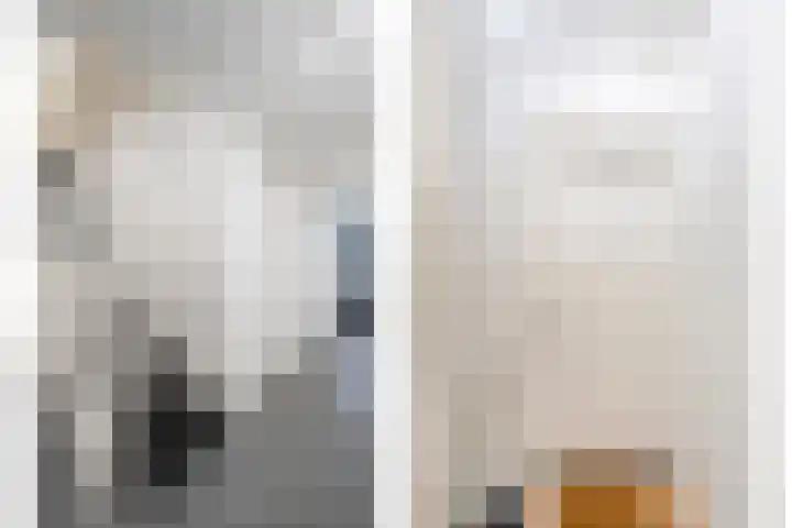Karnemelkstraat 9 Ommen thumbnail 8