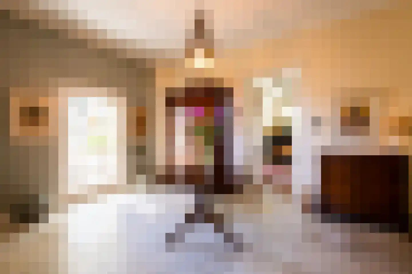 Karnemelksweg 2 Lage Vuursche thumbnail 12