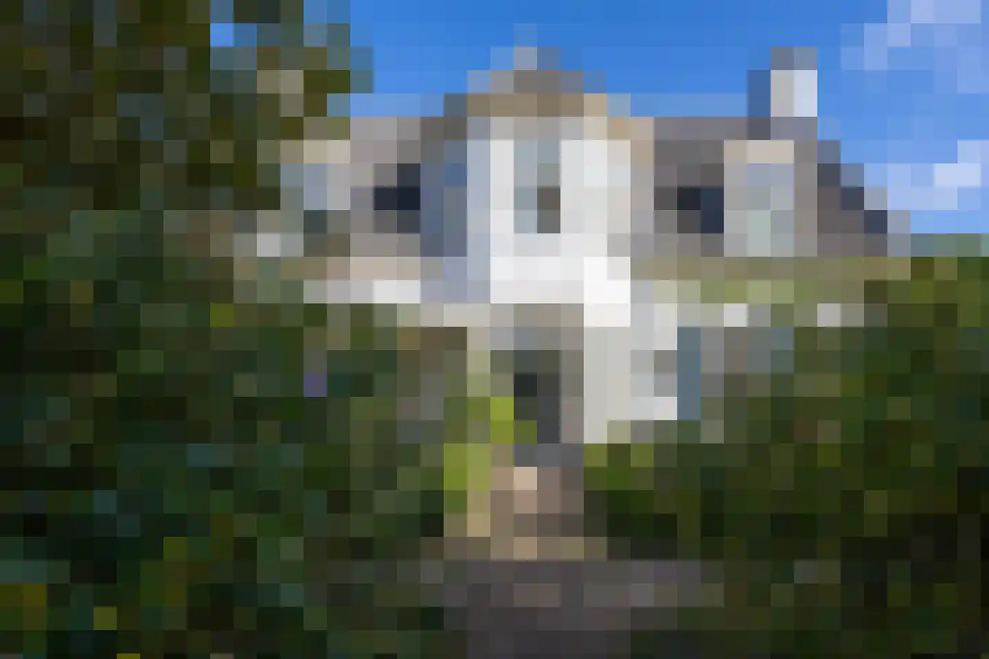 Karnemelksweg 2 Lage Vuursche foto 2