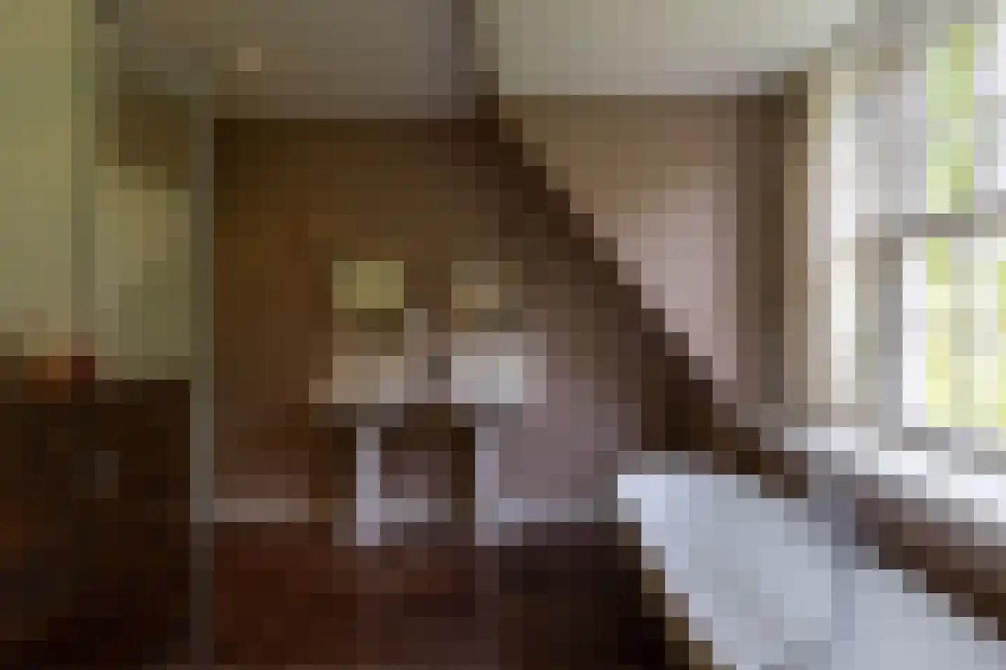 Karnemelksweg 2 Lage Vuursche thumbnail 37