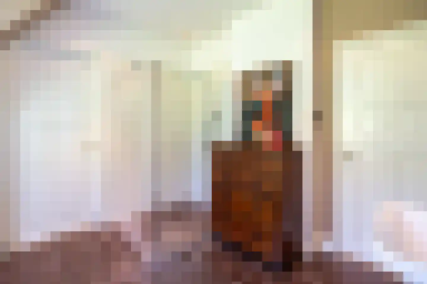 Karnemelksweg 2 Lage Vuursche thumbnail 38