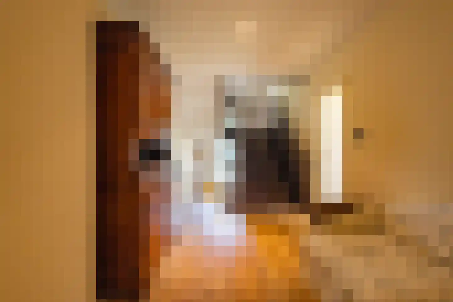 Karnemelksweg 2 Lage Vuursche thumbnail 40