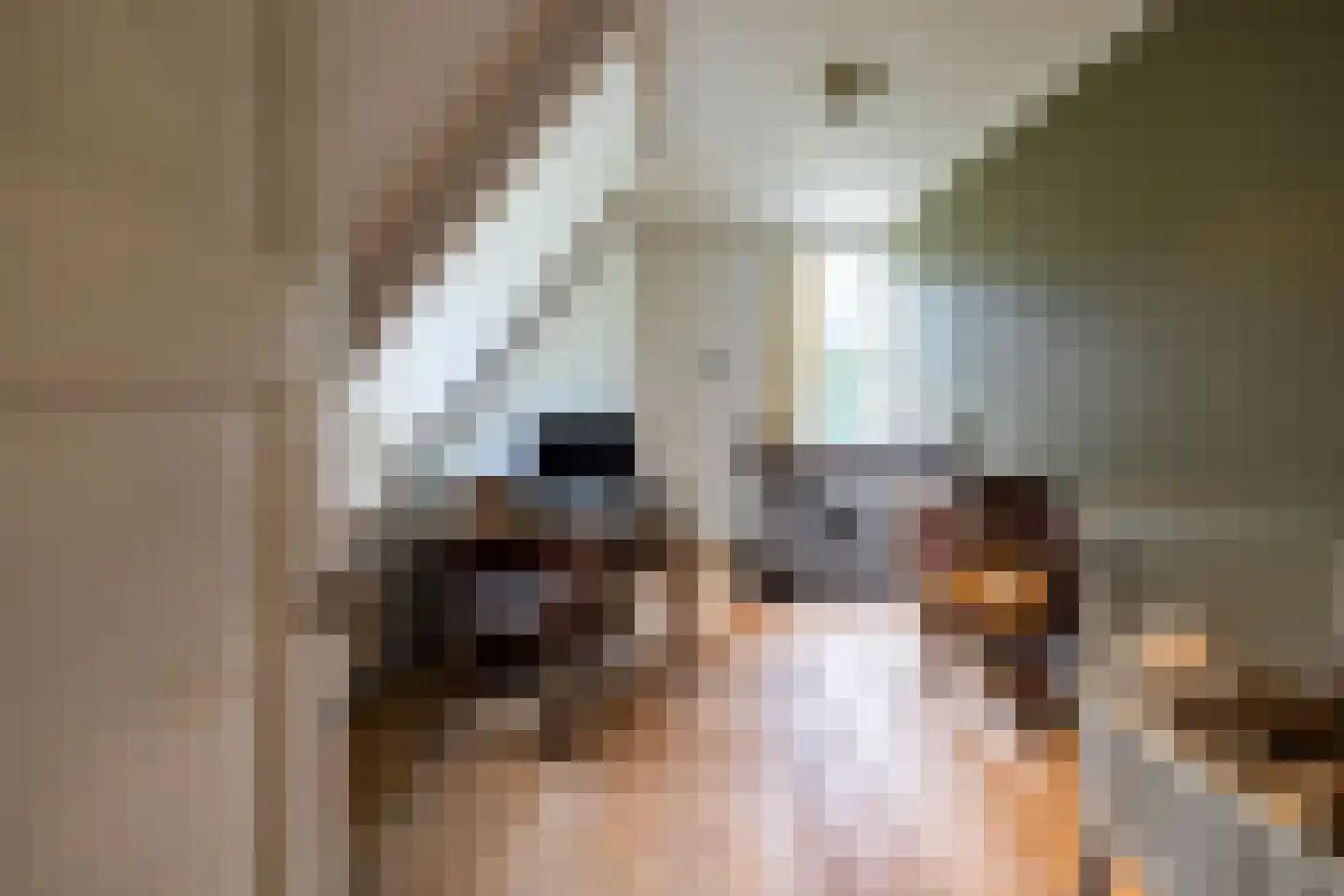 Karnemelksweg 2 Lage Vuursche thumbnail 44