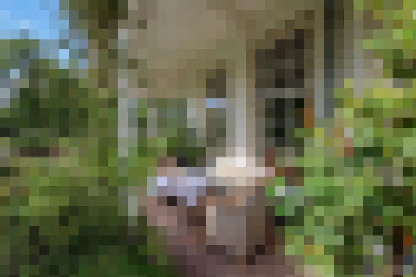 Karnemelksweg 2 Lage Vuursche thumbnail 51