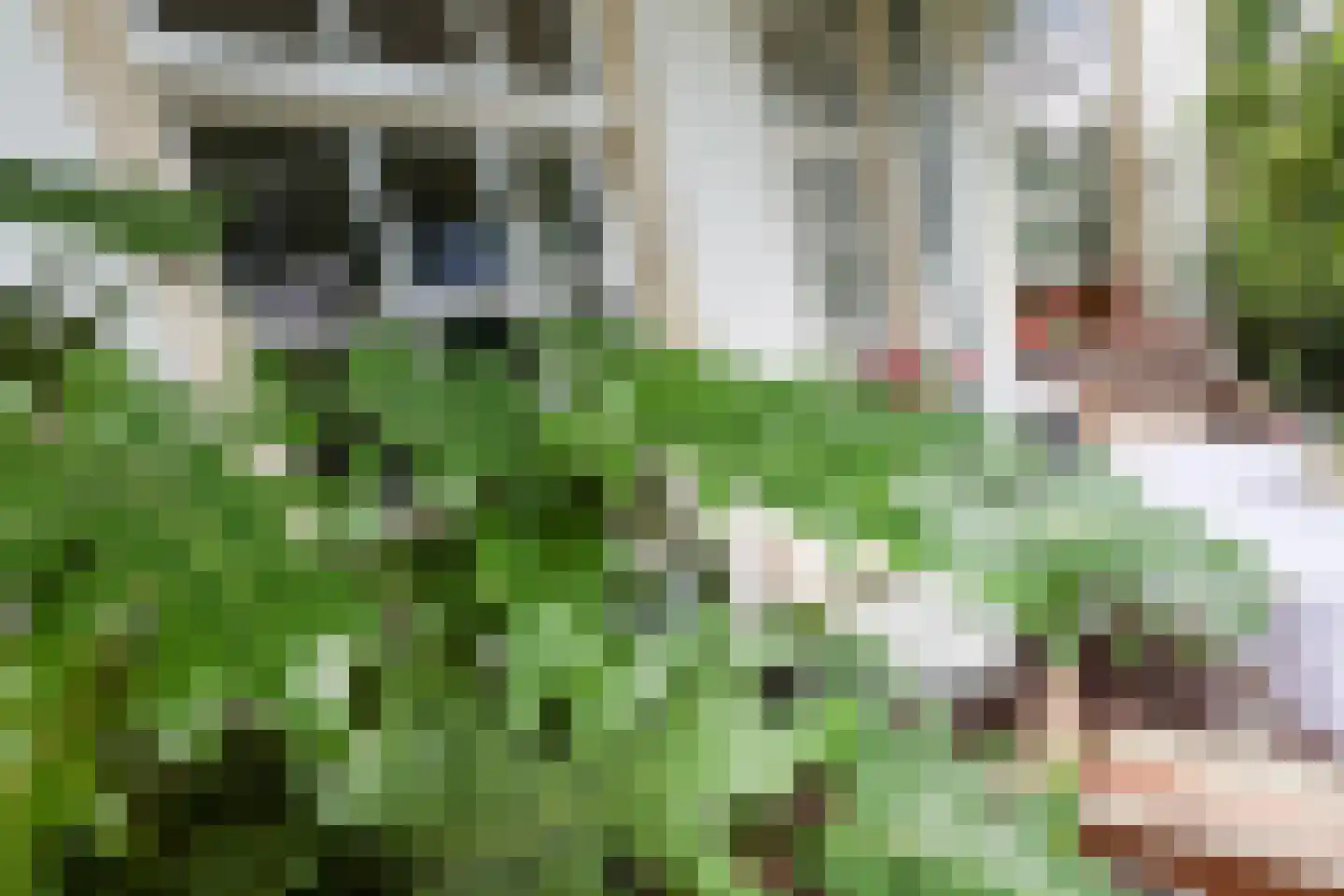 Karnemelksweg 2 Lage Vuursche thumbnail 52