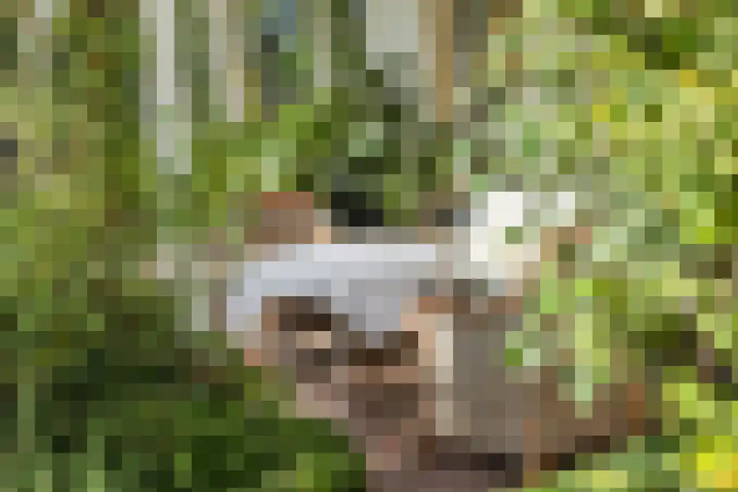 Karnemelksweg 2 Lage Vuursche thumbnail 53