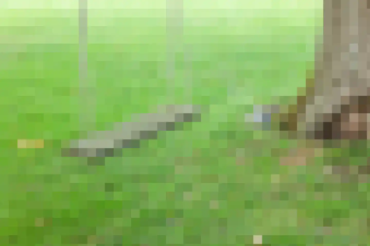 Karnemelksweg 2 Lage Vuursche thumbnail 54