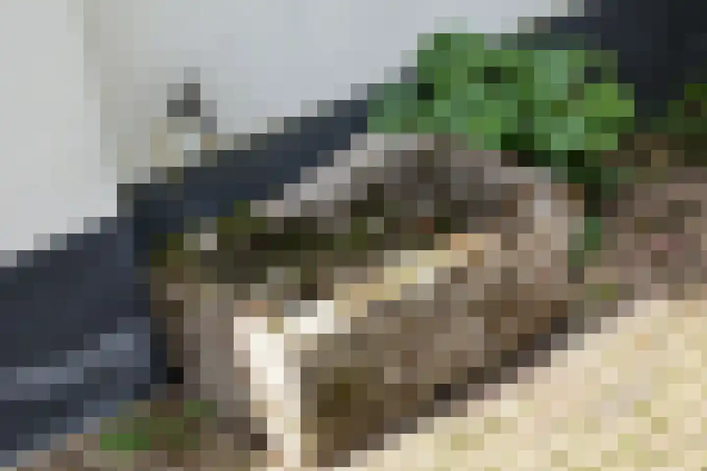 Karnemelksweg 2 Lage Vuursche thumbnail 57