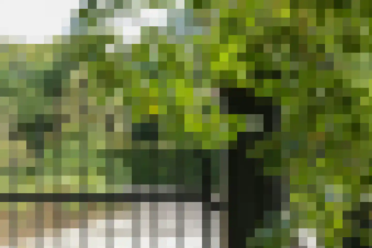 Karnemelksweg 2 Lage Vuursche thumbnail 58