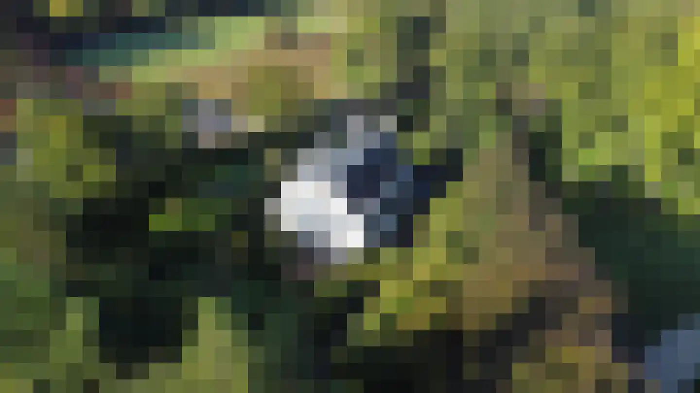 Karnemelksweg 2 Lage Vuursche thumbnail 61