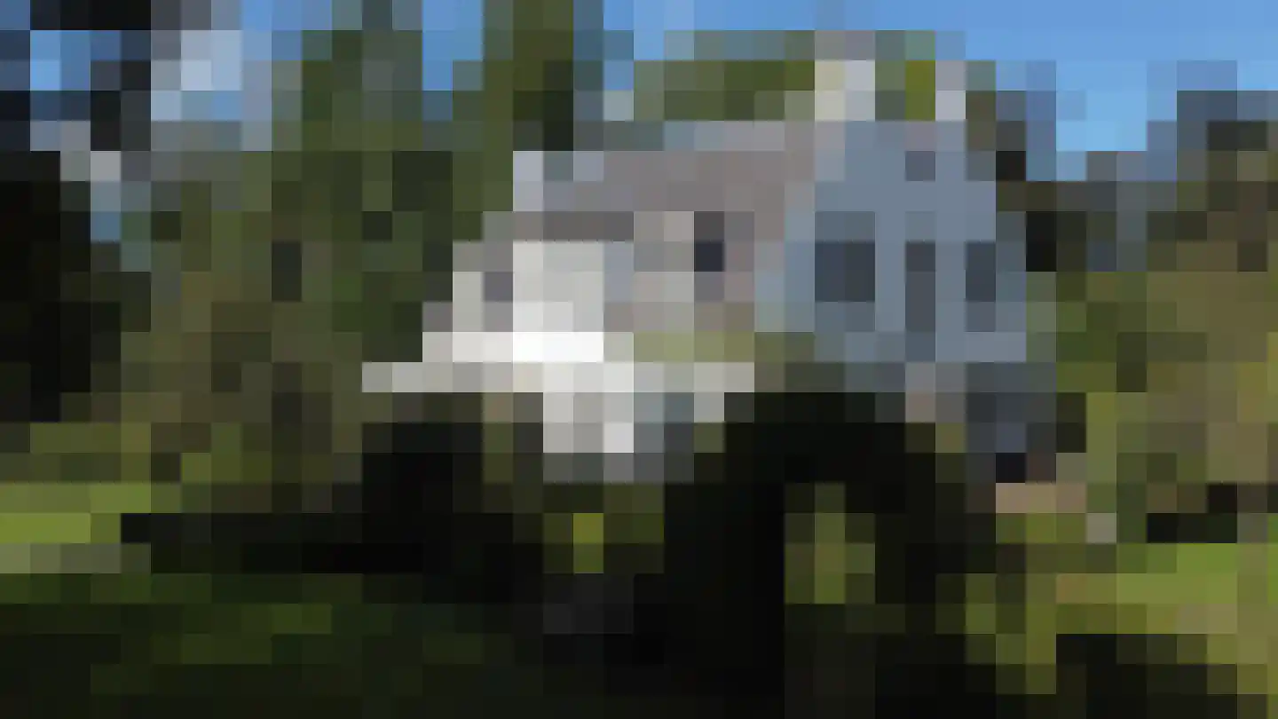 Karnemelksweg 2 Lage Vuursche thumbnail 7