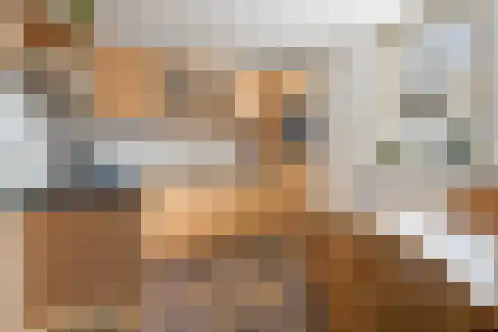 Karnhuis 6 Etten-Leur thumbnail 12
