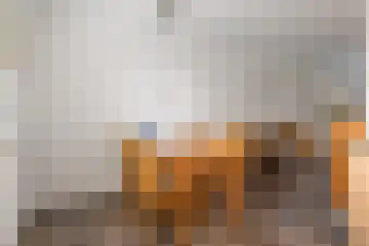 Karnhuis 6 Etten-Leur thumbnail 14