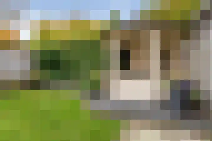 Karnhuis 6 Etten-Leur thumbnail 31
