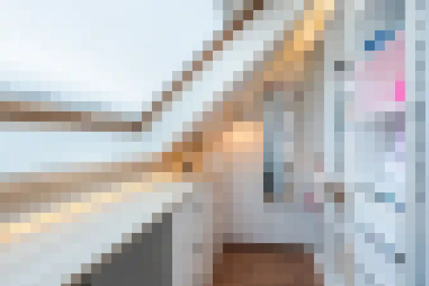Karnmolen 2 Hazerswoude-Dorp thumbnail 26