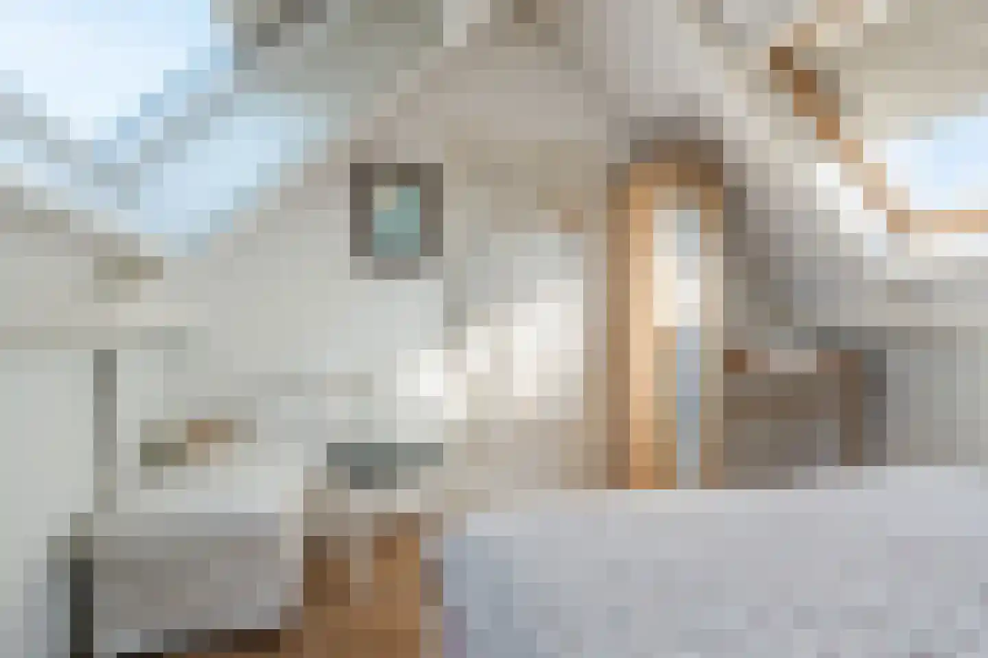 Karnmolen 2 Hazerswoude-Dorp thumbnail 33