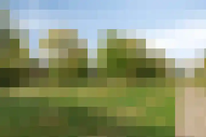 Karnsberg 126 Etten-Leur thumbnail 33
