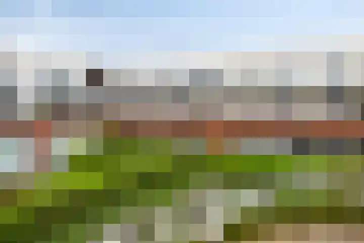 Karnsberg 192 Etten-Leur thumbnail 18