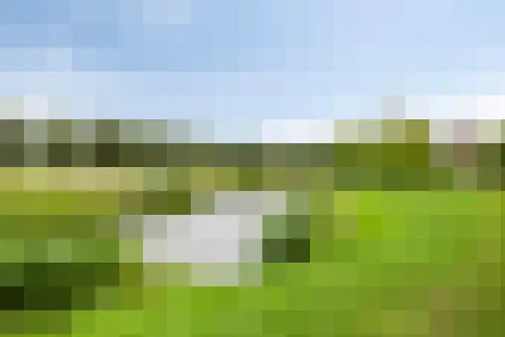 Karnsberg 192 Etten-Leur thumbnail 19
