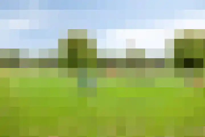 Karnsberg 192 Etten-Leur thumbnail 20