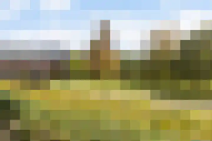 Karnsberg 40 Etten-Leur thumbnail 24