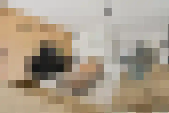 Karnweide 16 Nieuwegein thumbnail 10