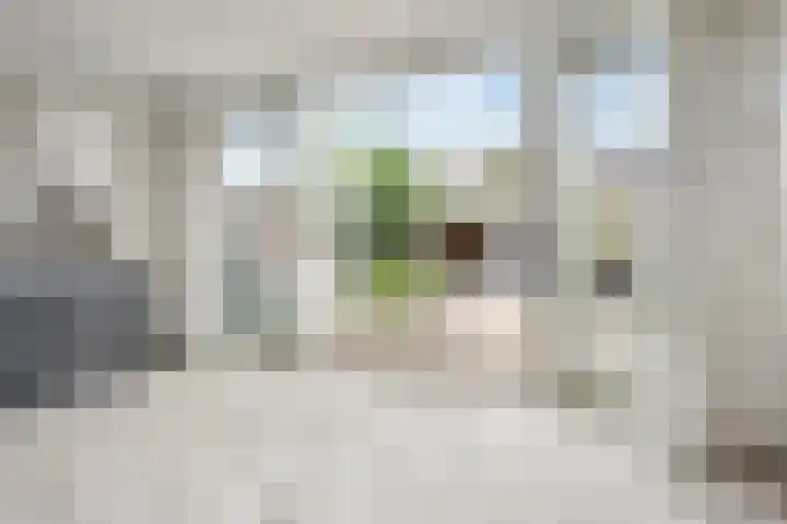Karnweide 16 Nieuwegein thumbnail 11