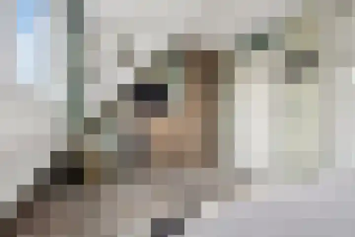 Karnweide 16 Nieuwegein thumbnail 17