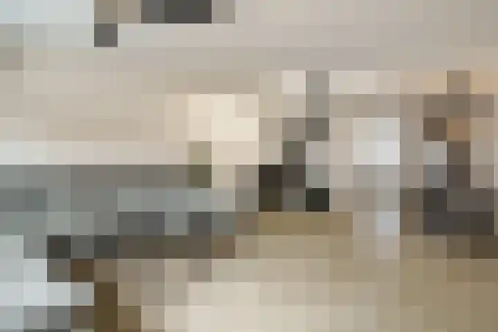 Karnweide 39 Nieuwegein thumbnail 7