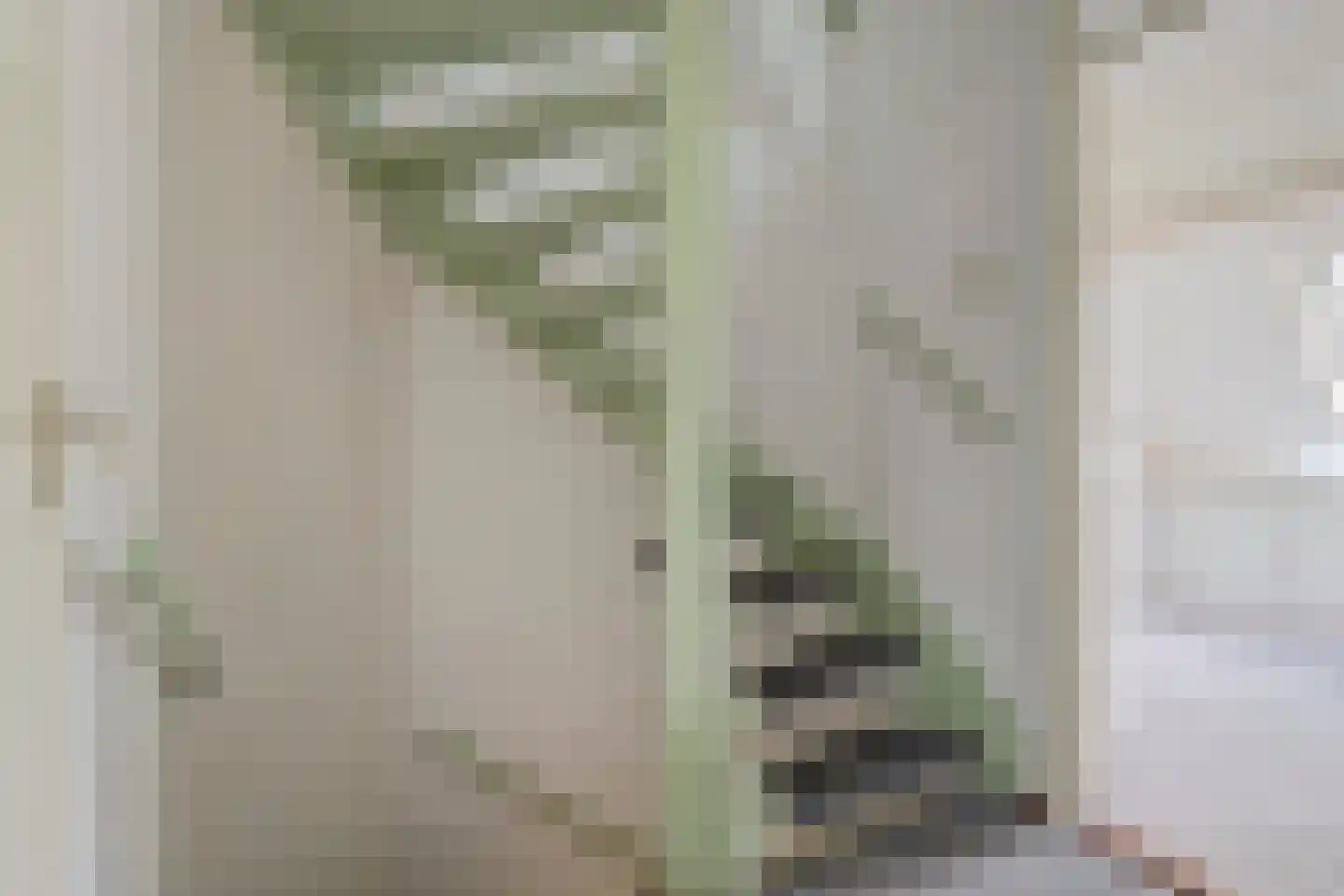 Karnweide 5 Nieuwegein thumbnail 30