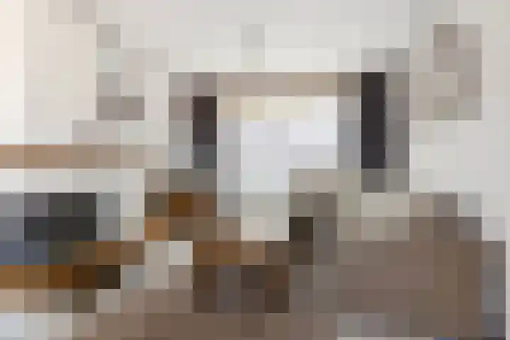 Karolinastraat 18 Oud Gastel thumbnail 12
